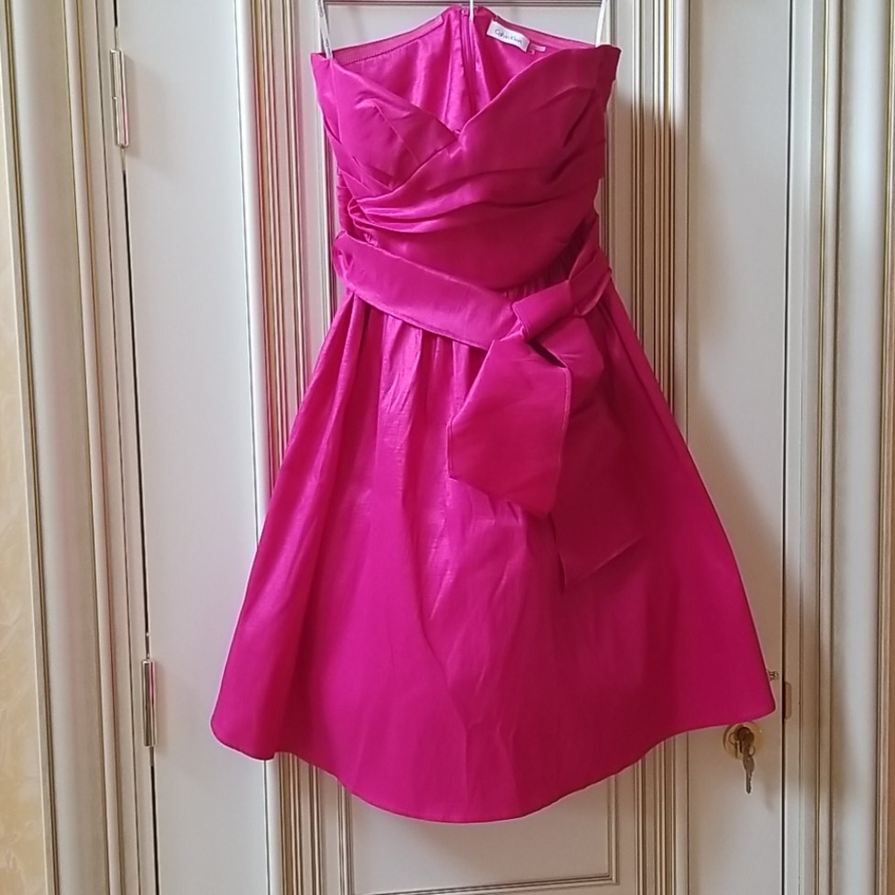 Lady's  dress